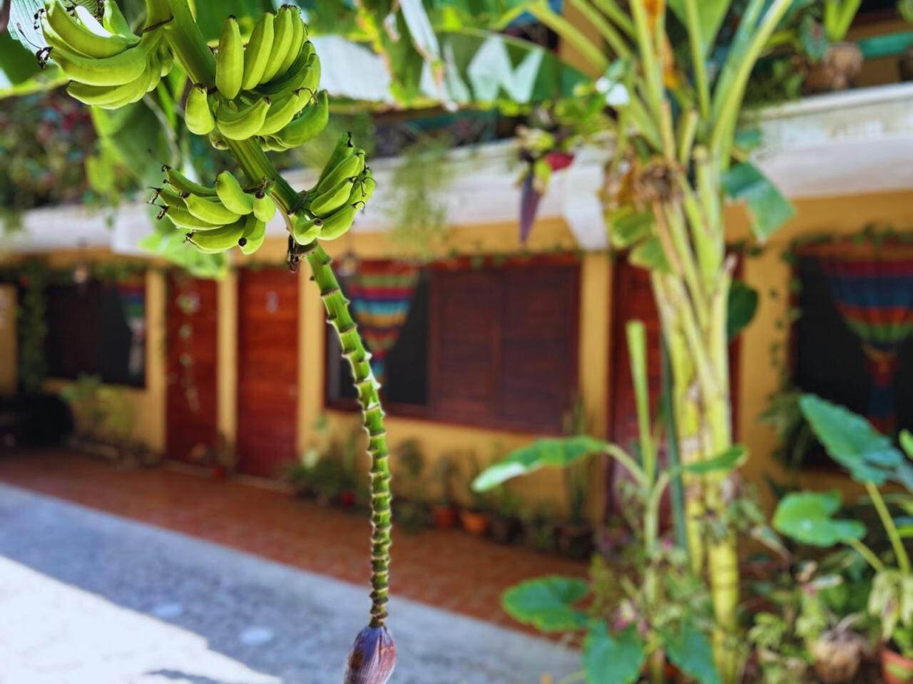 Hotel Casa Del Mar Mazunte Santa María Tonameca Buitenkant foto